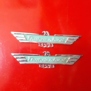 Nikelaj Metal Yeşil Thunderbird Kuş Orta Boy Kuş Model 1