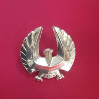 Thunderbird Kuş Panjur Arma Gold