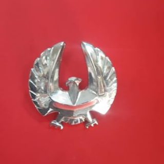 Thunderbird Nikelaj Kuş Panjur Arma Nikelaj