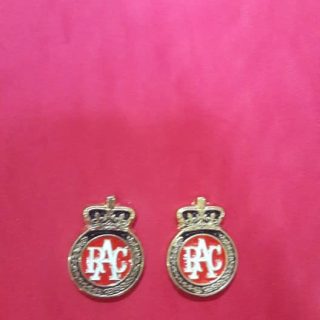 Rac Taçlı Fındık Rozet Gold Minik Kırmızı