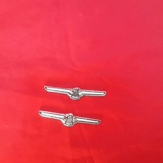 Thunderbird Kuş Fındık Rozet Nikelaj Minik Beyaz