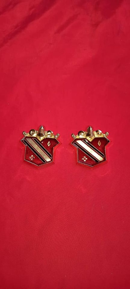 Buıck Regal Kırmızı Gold Arma Takımı
