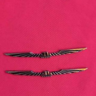 Nikelaj Thunderbird Kuş (9mmX2mm)