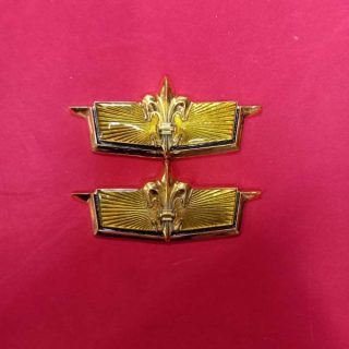 Caprice Classic Gold Sarı Arma Büyük