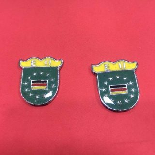Krom Fındık Rozet Minik Arma Logo Sarı Yeşil